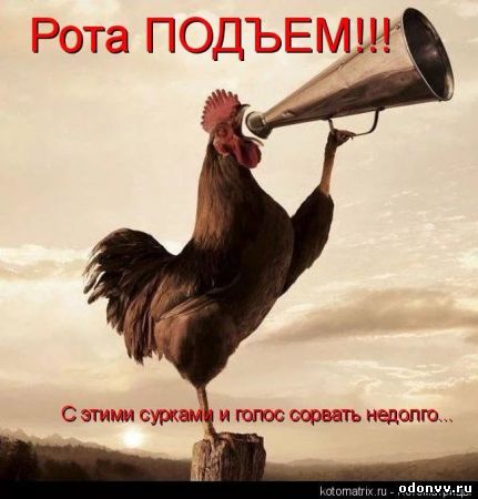 Открытка рота подъем, анимации снега окном